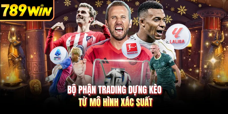 Bộ phận trading dựng kèo từ mô hình xác suất