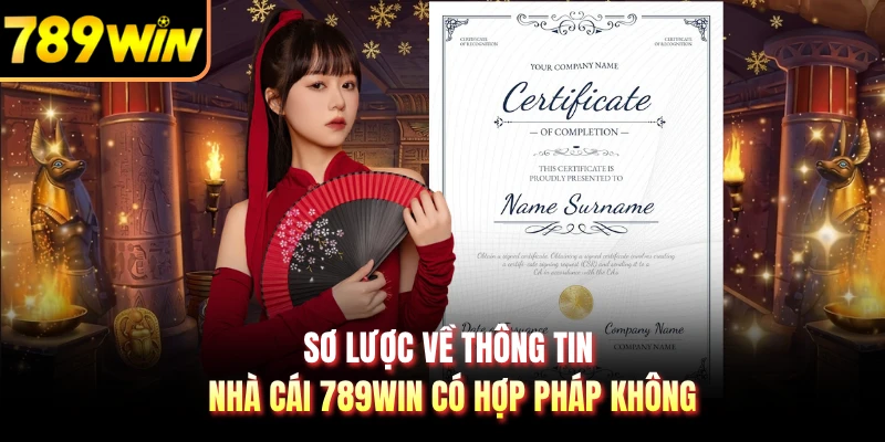 Sơ lược về thông tin nhà cái 789WIN có hợp pháp không